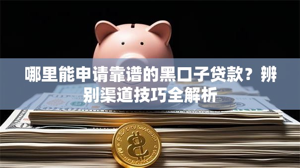 哪里能申请靠谱的黑口子贷款？辨别渠道技巧全解析