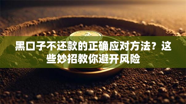 黑口子不还款的正确应对方法？这些妙招教你避开风险