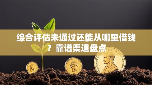 综合评估未通过还能从哪里借钱？靠谱渠道盘点