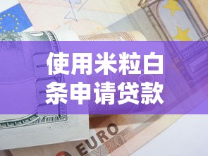 使用米粒白条申请贷款全流程解析：额度提升技巧与避坑指南