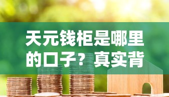天元钱柜是哪里的口子?真实背景与用户评价解析 天元钱柜是哪里的口子?真实背景与用户评价解析