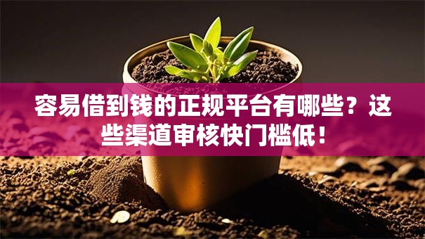 容易借到钱的正规平台有哪些？这些渠道审核快门槛低！