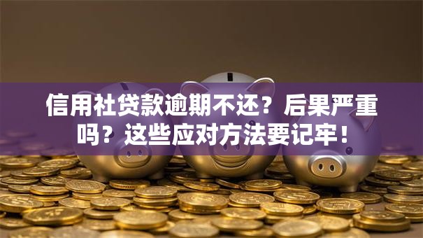 信用社贷款逾期不还？后果严重吗？这些应对方法要记牢！