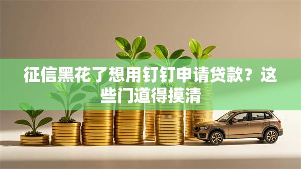 征信黑花了想用钉钉申请贷款？这些门道得摸清
