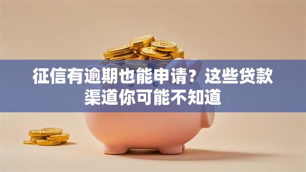 征信有逾期也能申请？这些贷款渠道你可能不知道