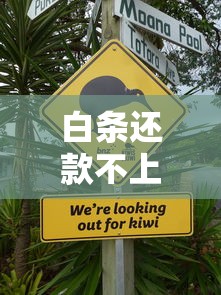 白条还款不上征信吗？这三点你必须知道！