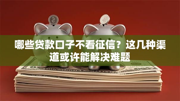 哪些贷款口子不看征信？这几种渠道或许能解决难题