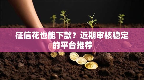 征信花也能下款？近期审核稳定的平台推荐