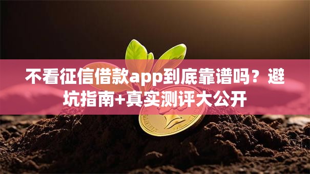 不看征信借款app到底靠谱吗？避坑指南+真实测评大公开