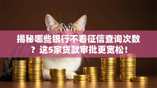 揭秘哪些银行不看征信查询次数？这5家贷款审批更宽松！