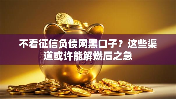 不看征信负债网黑口子？这些渠道或许能解燃眉之急