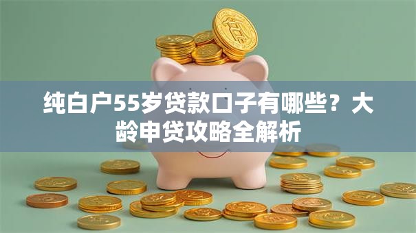 纯白户55岁贷款口子有哪些？大龄申贷攻略全解析