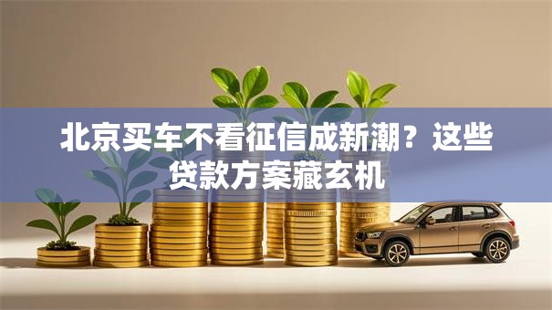 北京买车不看征信成新潮?这些贷款方案藏玄机 北京买车不看征信成新潮?这些贷款方案藏玄机