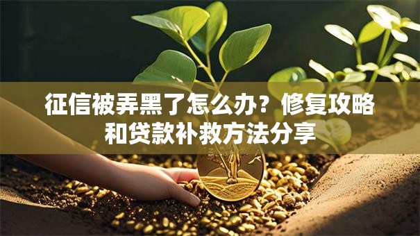 征信被弄黑了怎么办？修复攻略和贷款补救方法分享