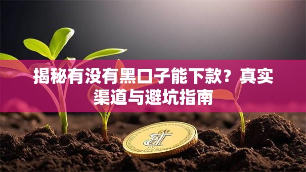 揭秘有没有黑口子能下款？真实渠道与避坑指南