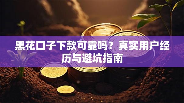 黑花口子下款可靠吗？真实用户经历与避坑指南