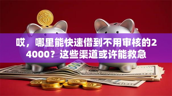 哎，哪里能快速借到不用审核的24000？这些渠道或许能救急