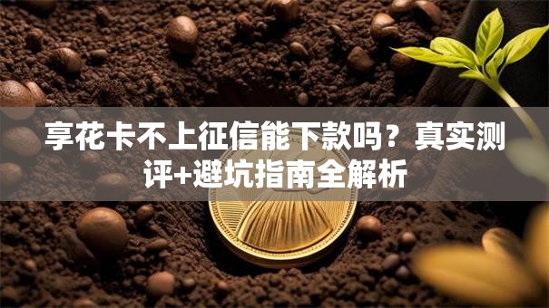 享花卡不上征信能下款吗？真实测评+避坑指南全解析