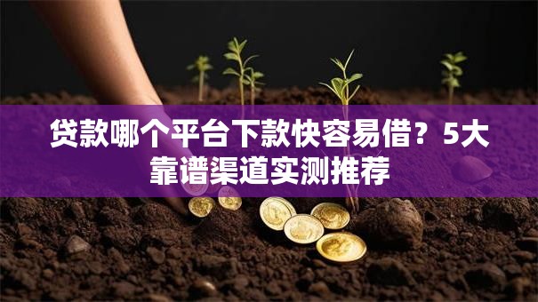 贷款哪个平台下款快容易借？5大靠谱渠道实测推荐