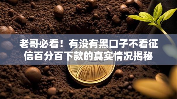 老哥必看！有没有黑口子不看征信百分百下款的真实情况揭秘