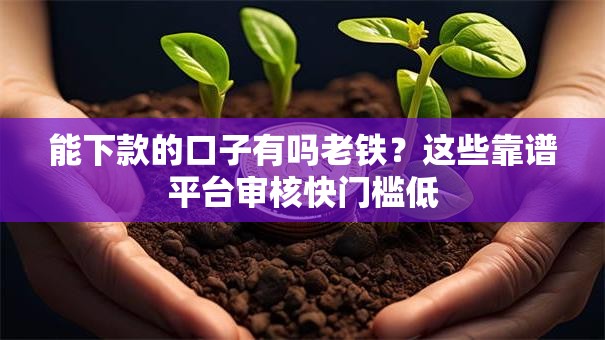 能下款的口子有吗老铁？这些靠谱平台审核快门槛低