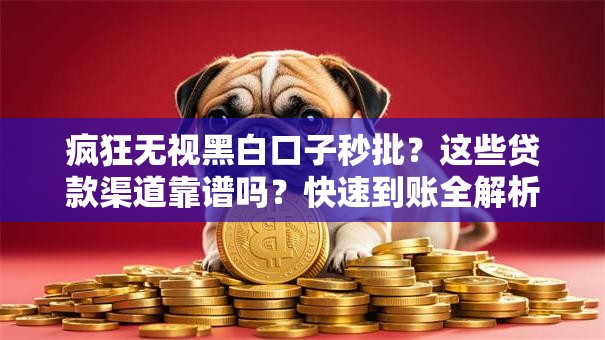 疯狂无视黑白口子秒批？这些贷款渠道靠谱吗？快速到账全解析