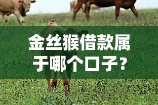 金丝猴借款属于哪个口子？深度解析平台类型与使用技巧