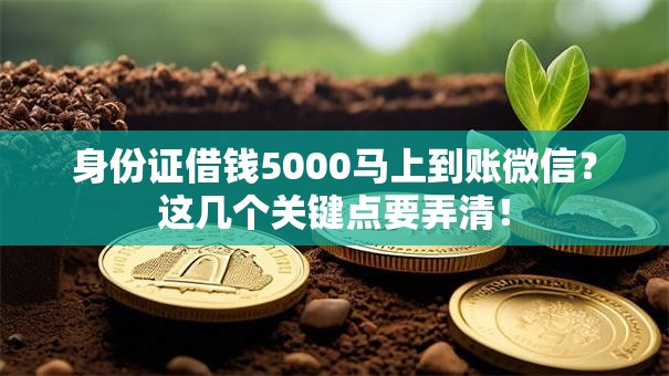 身份证借钱5000马上到账微信?这几个关键点要弄清! 身份证借钱5000马上到账微信?这几个关键点要弄清!