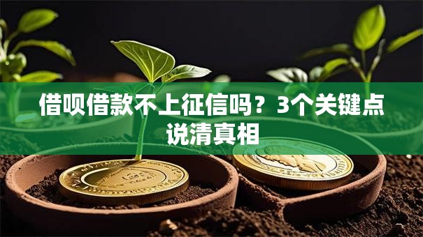 借呗借款不上征信吗？3个关键点说清真相