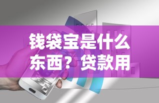 钱袋宝是什么东西？贷款用户必看的平台解析与避坑指南