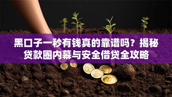 黑口子一秒有钱真的靠谱吗？揭秘贷款圈内幕与安全借贷全攻略