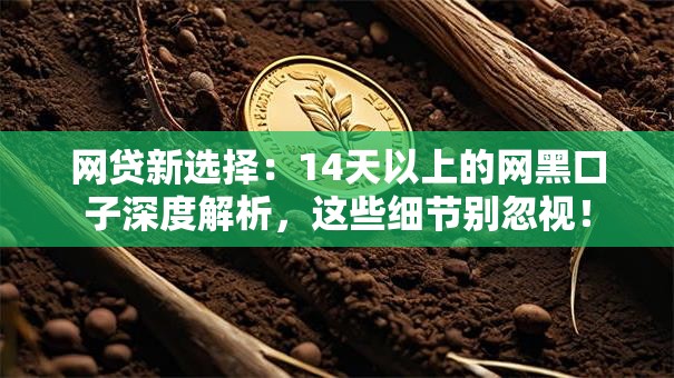 网贷新选择：14天以上的网黑口子深度解析，这些细节别忽视！