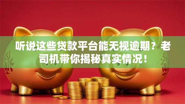 听说这些贷款平台能无视逾期？老司机带你揭秘真实情况！
