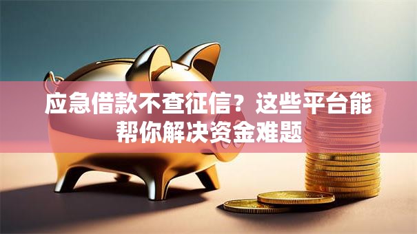 应急借款不查征信？这些平台能帮你解决资金难题