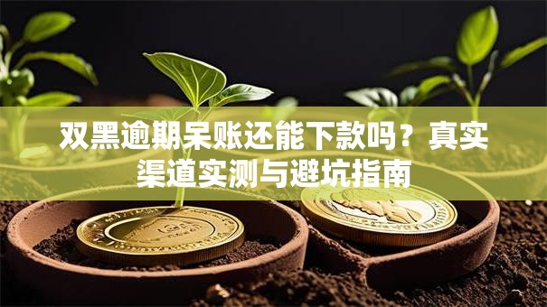 双黑逾期呆账还能下款吗？真实渠道实测与避坑指南