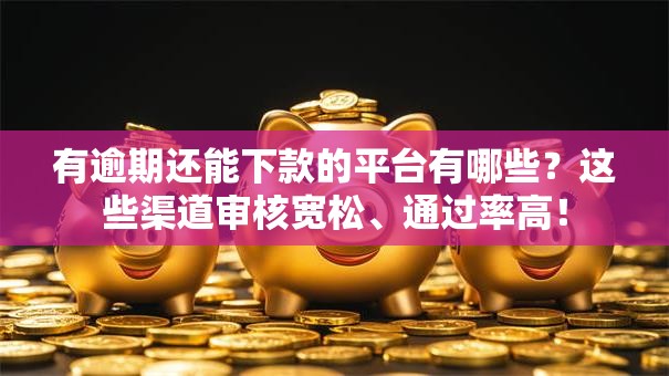 有逾期还能下款的平台有哪些？这些渠道审核宽松、通过率高！