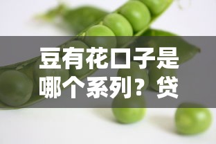 豆有花口子是哪个系列?贷款产品解析必看! 豆有花口子是哪个系列?贷款产品解析必看!