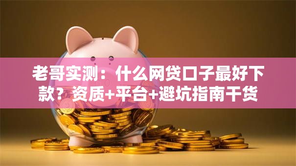 老哥实测：什么网贷口子最好下款？资质+平台+避坑指南干货