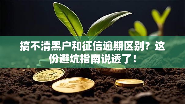 搞不清黑户和征信逾期区别？这份避坑指南说透了！