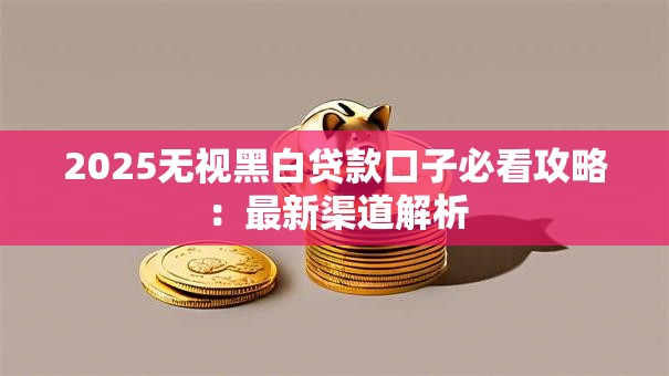 2025无视黑白贷款口子必看攻略：最新渠道解析