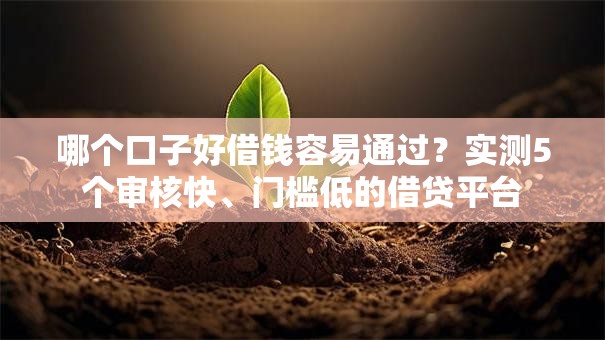 哪个口子好借钱容易通过？实测5个审核快、门槛低的借贷平台