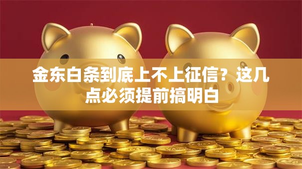 金东白条到底上不上征信？这几点必须提前搞明白