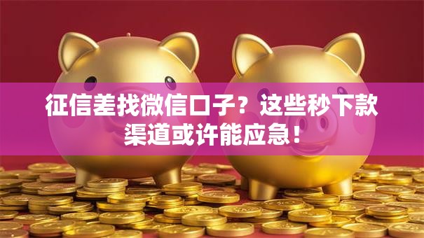 征信差找微信口子？这些秒下款渠道或许能应急！