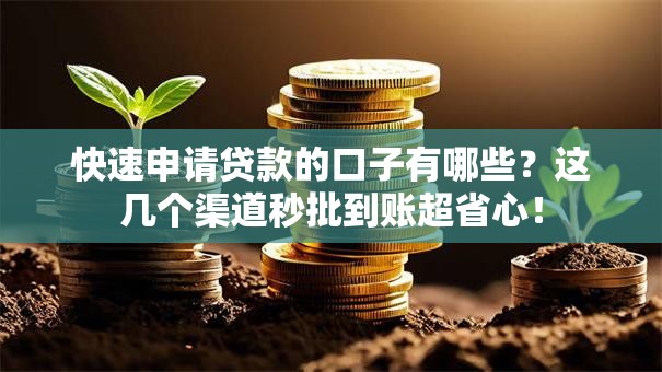 快速申请贷款的口子有哪些？这几个渠道秒批到账超省心！