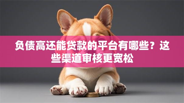 负债高还能贷款的平台有哪些？这些渠道审核更宽松