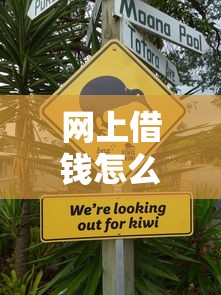 网上借钱怎么借不出来？这5个关键点你可能忽略了