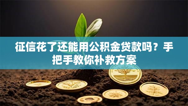 征信花了还能用公积金贷款吗？手把手教你补救方案