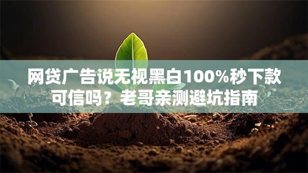 网贷广告说无视黑白100%秒下款可信吗？老哥亲测避坑指南