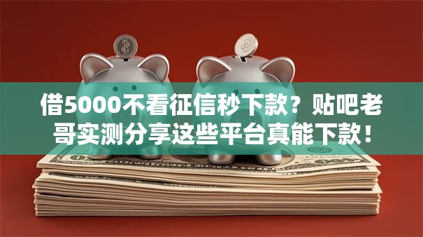 借5000不看征信秒下款？贴吧老哥实测分享这些平台真能下款！