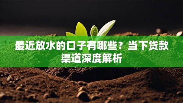 最近放水的口子有哪些？当下贷款渠道深度解析